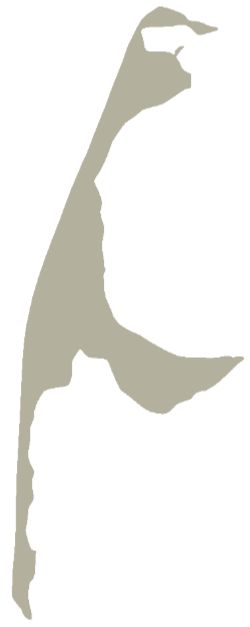 Sylt Karte Newsletter eingetragen