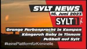 Sylt News - Kängeruh-Baby, Fußballl und Kampen in Orange