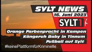 Sylt1News
