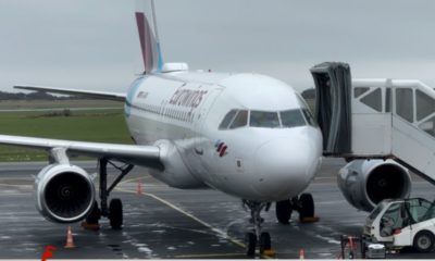 Sylt News: Möwe legt Passagierflieger lahm. Flug nach Düsseldorf fällt aus.