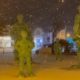 Sylt News - Grüne Riesen im Schneetreiben