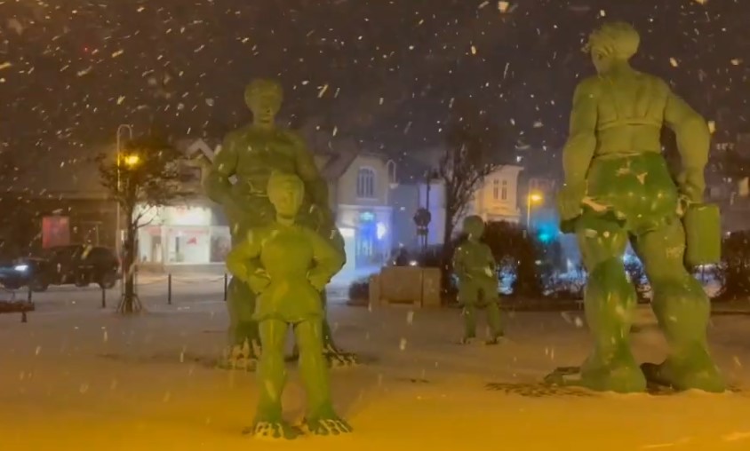 Sylt News - Grüne Riesen im Schneetreiben